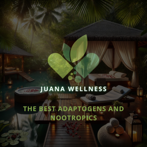 juana wellness the best adaptogens and nootropics