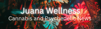 Cannabis and Psychedelic News